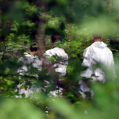 Königstetten im Bezirk Tulln