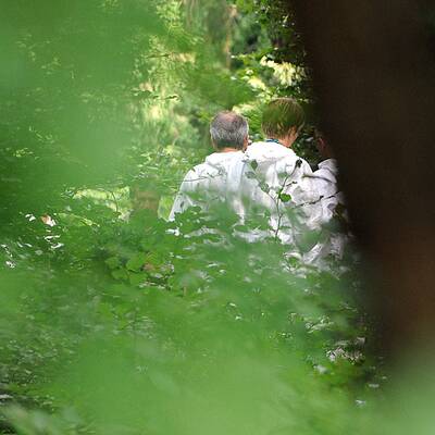 Königstetten im Bezirk Tulln