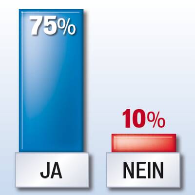 Schafft Profi-Heer Katastrophenschutz?