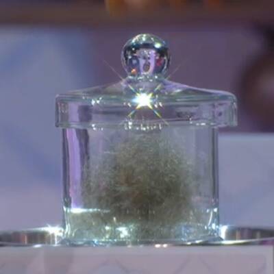 Die stärksten Bilder vom neuen 