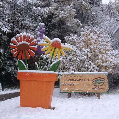 So verschneit ist Österreich: Wien-Umgebung
