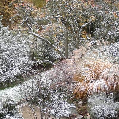 So verschneit ist Österreich: Wien-Umgebung