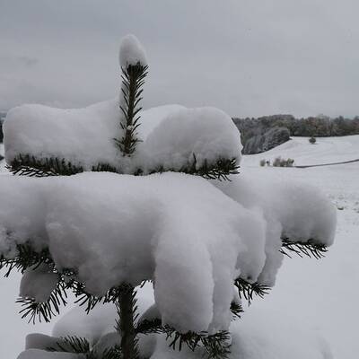 So verschneit ist Österreich: Wien-Umgebung