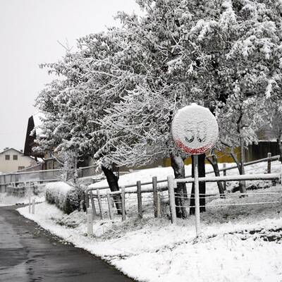 So verschneit ist Österreich: Wien-Umgebung