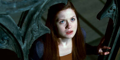 Harry Potter: Das Abenteuer geht weiter