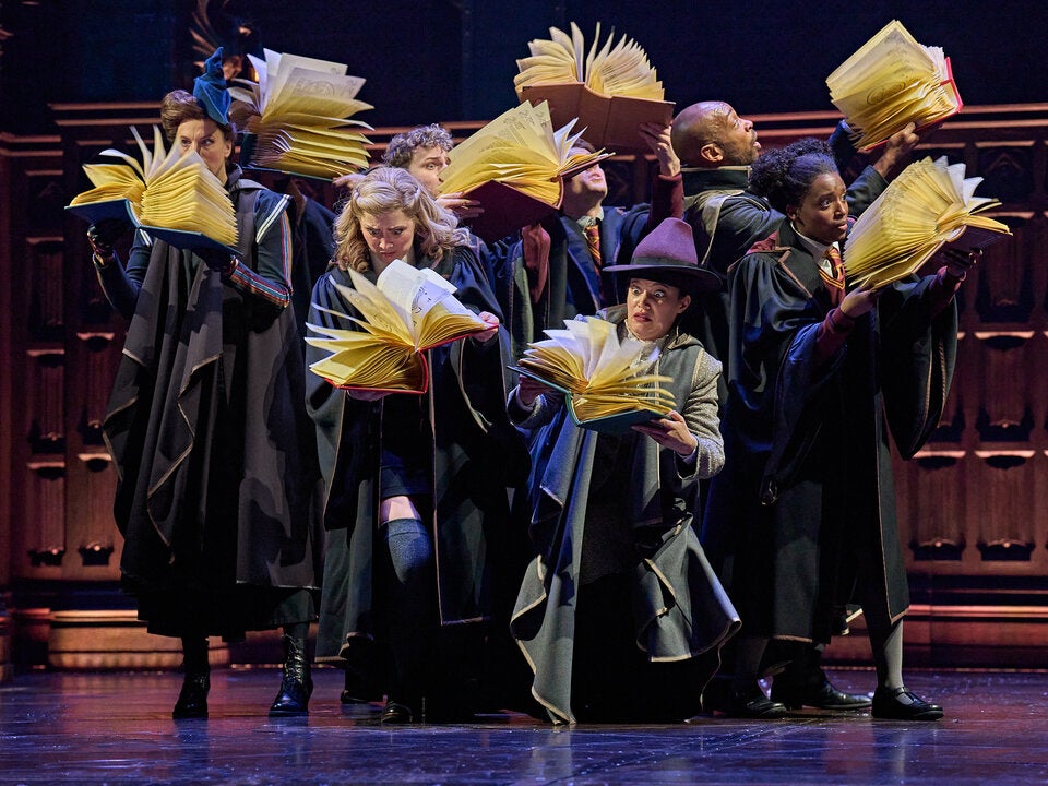 Harry Potter Musical