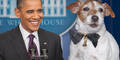 Uggie, Barack Obama