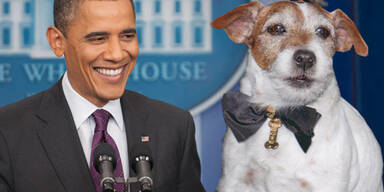 Uggie, Barack Obama