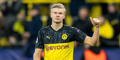 Alle feiern Wunderkind Haaland