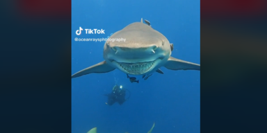 oceanrayphotography/TikTok