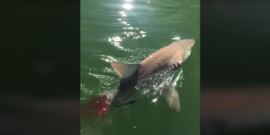 captaindaveperkins/Instagram