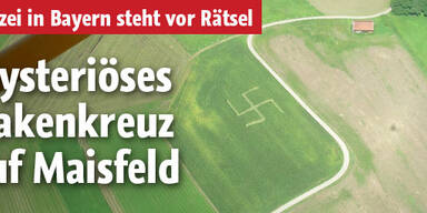 Mysteriöses Hakenkreuz im Maisfeld