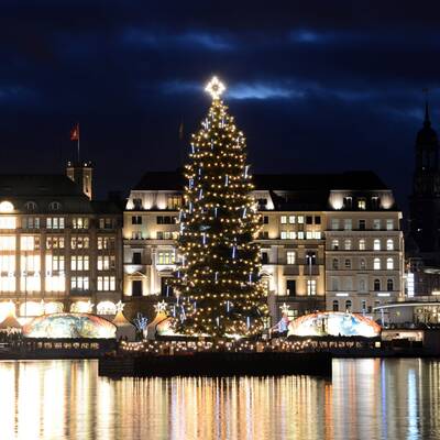 Die verrücktesten Christbäume der Welt