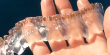 paddlegoat/instagram