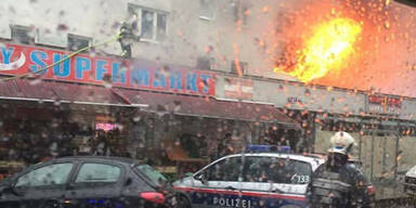 Bei Horror-Brand Hanfplantage gefunden