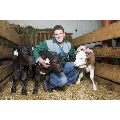 Diese Bauern suchen ihre große Liebe