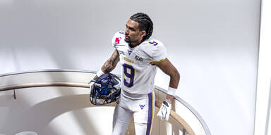 Vienna Vikings Heidi Horton Collection