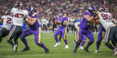 Vienna Vikings Ben Holmes