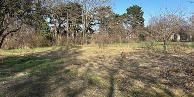 Hans-Hirsch-Park: Floridsdorf investiert 740.000 Euro in Erweiterung