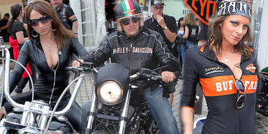 Neun Bikes bei Harley-Treffen gestohlen