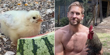 "Am Boden zerst&ouml;rt" - Star-DJ Calvin Harris trauert um geliebten Hahn