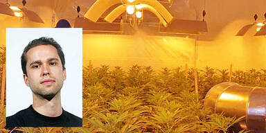 Kunde verriet  "Hasch- Bauern"