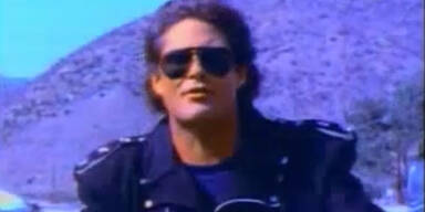 Hasselhoff in Gmunden!