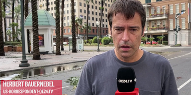 Herbert Bauernebel.png