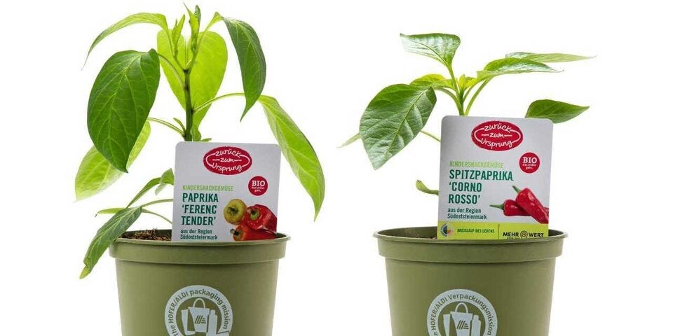 Diskonter Hofer überrascht mit dieser Produkt-Neuheit