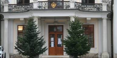 Feuerkunst, Musik & Nikolaus: Mittelalter-Adventmarkt in Hetzendorf &ouml;ffnet T&uuml;ren