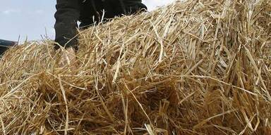 N&Ouml; will keine verseuchten Heuballen