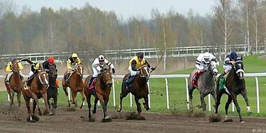 Heuer 136 Rennen f&uuml;r Traber und Galopper