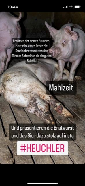 Martin Hinteregger Post Instagram