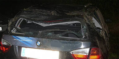 Hirsch auf der Autobahn: 3 Verletzte