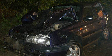 Hirsch auf der Autobahn: 3 Verletzte