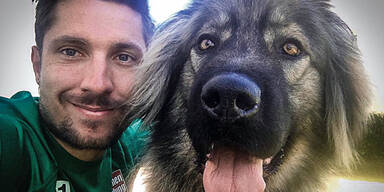 Marcel Hirscher zeigt ein Herz f&uuml;r Tiere
