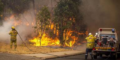 Bis zu 50 Grad derzeit in Australien