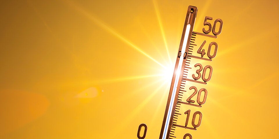 Bauernregel: „Wenn’s im Dezember nicht wintert, ...