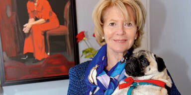 Noch ein Mops f&uuml;r H&ouml;rbiger