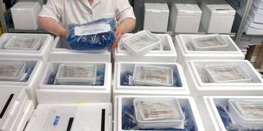 Hoffnung auf reprogrammierte Zellen