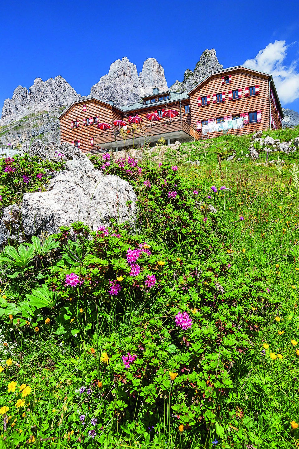 Filzmoos: Bergsommer der Vielfalt