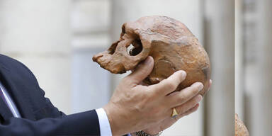 Der moderne Mensch ist wesentlich &auml;lter als bisher angenommen