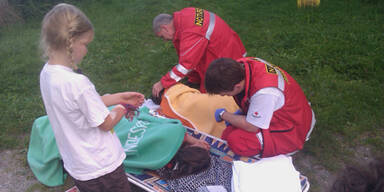 Jedes Kind von 7  Hornissen attackiert