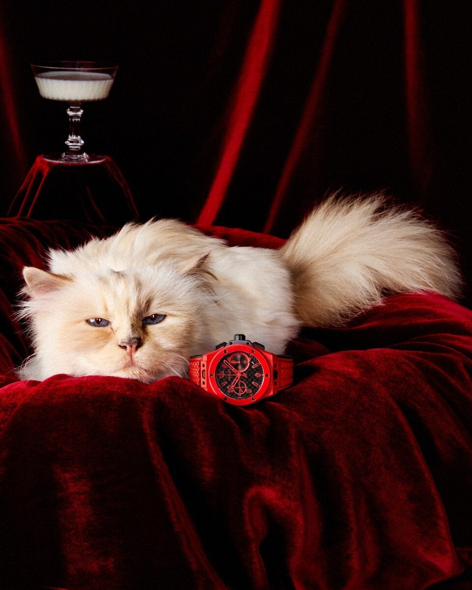 HUBLOT holt sich die berühmteste Katze der Welt als neues Testimonial
