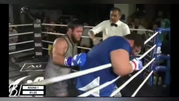 sajadgharibiofficial/Instagram