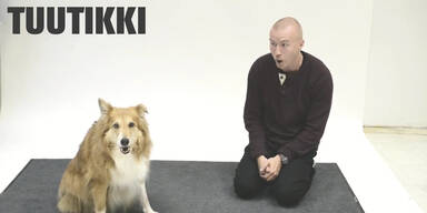 Auch Menschen bellen