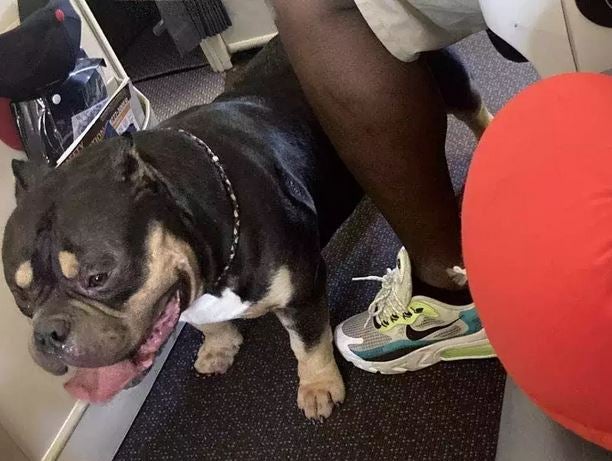 Gill and Warren Press