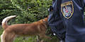 Fall Wastl: Polizei durchkämmt Wald