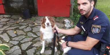 Polizei rettet ver&auml;ngstigten Border-Collie