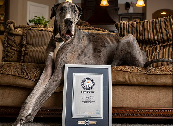 Guinness World Records